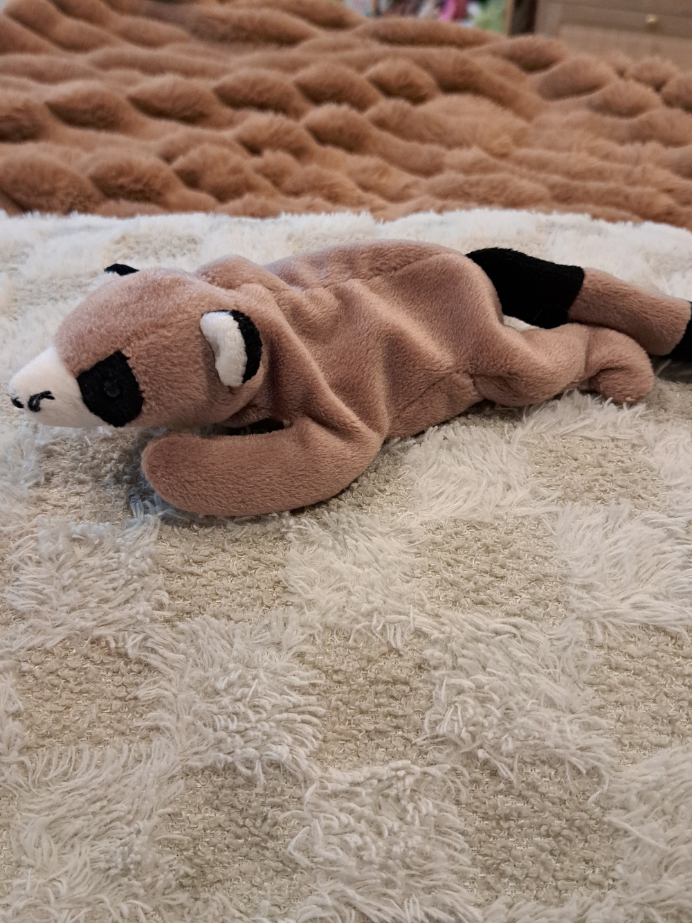 Ty Beanie Baby Ringo the Raccoon 1995 No Heart Tag